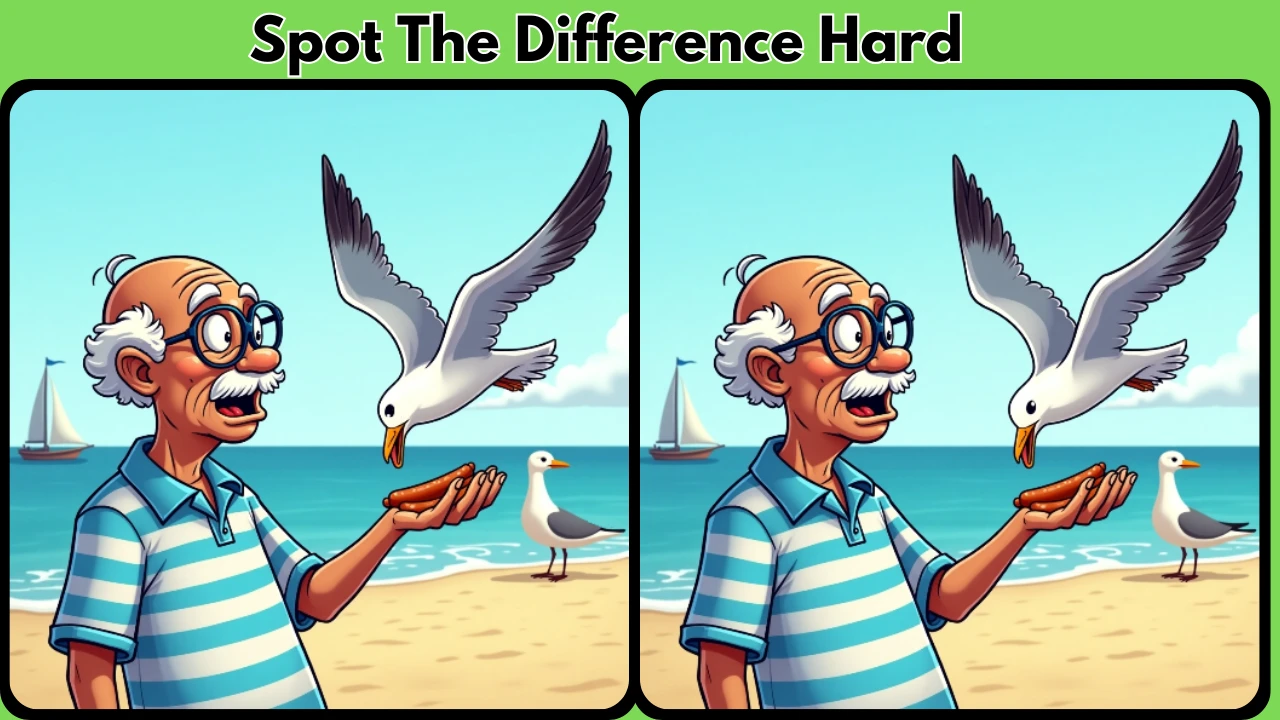 spot-the-difference-hard-a-fun-brain-boosting-challenge-17-09