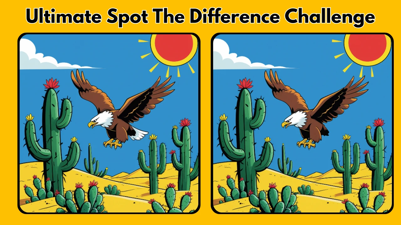 Ultimate Spot the Difference Puzzle 15 September 2025